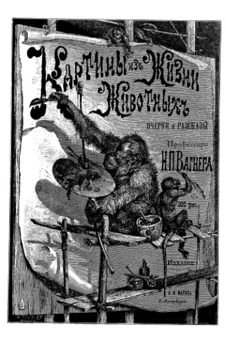 Картины из жизни животных