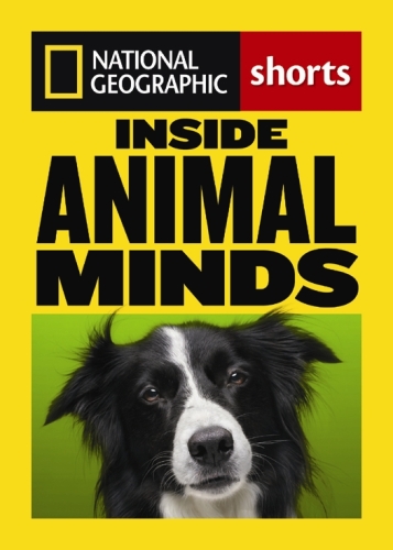 Inside Animal Minds: The New Science of Animal Intelligence