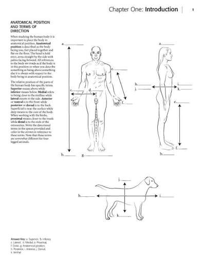 Kaplan Anatomy Coloring Book