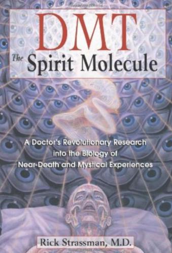 DMT : the spirit molecule : a doctor's revolutionary research into the biology of near-death and mystical experiences