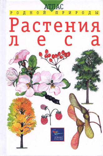 Растения леса.