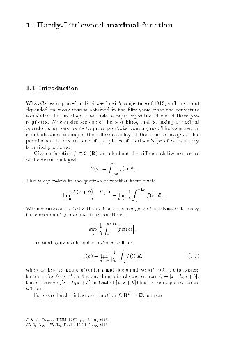 Hardy-Littlewood maximal function