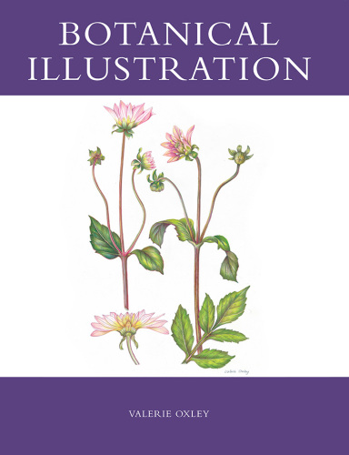 Botanical Illustration