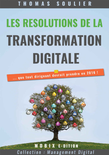 Les résolutions de la transformation digitale...: ... que tout dirigeant devrait prendre en 2016