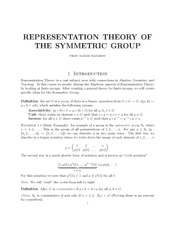 Representation theory of the symmetric group [Lecture notes]