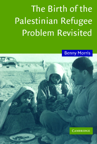 The birth of the Palestinian refugee problem revisited