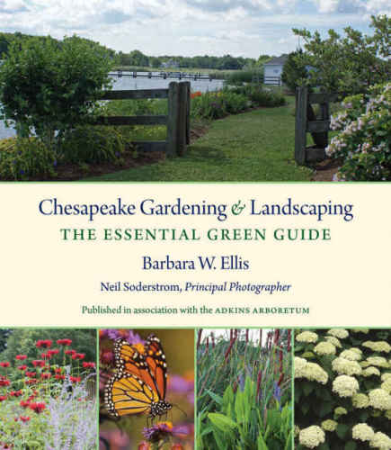 Chesapeake Gardening and Landscaping  The Essential Green Guide