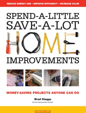 Spend-A-Little Save-A-Lot Home Improvements  Money-Saving Projects Anyone Can Do