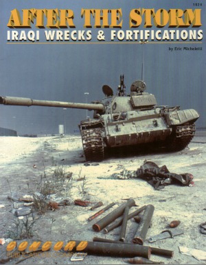 After The Storm.  Iraqi Wrecks And Fortifications