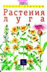 Растения луга