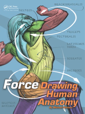 Force.  Drawing Human Anatomy