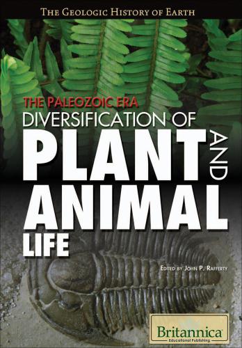 The Paleozoic Era. Diversification of Plant and Animal Life