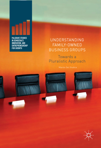 Understanding Family-Owned Business Groups: Towards a Pluralistic Approach