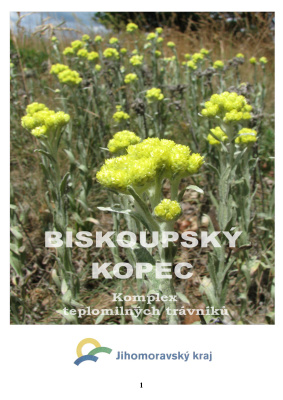 Biskoupský kopec