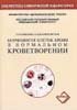 Морфология клеток крови в нормальном кроветворении