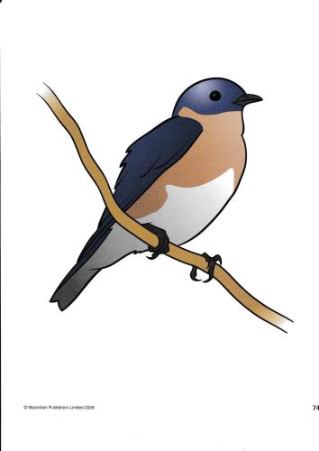 English World 1. Flashcards. Unit 6