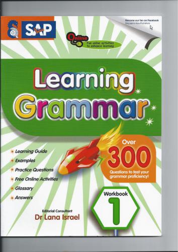 Learning grammar. Workbook 1