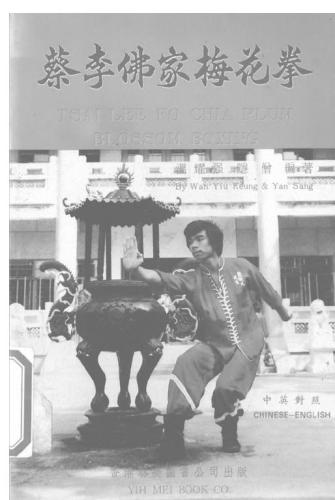 Tsai Lee Fo plum blossom boxing