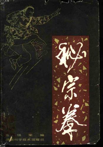 Мицзун цюань - Кулачное искусство тайного учения 秘宗拳（裴锡荣）.