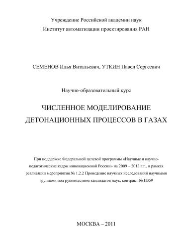 Численное моделирование детонационных процессов в газах