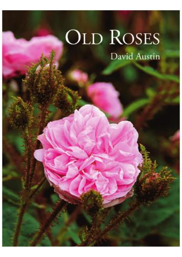 Old Roses