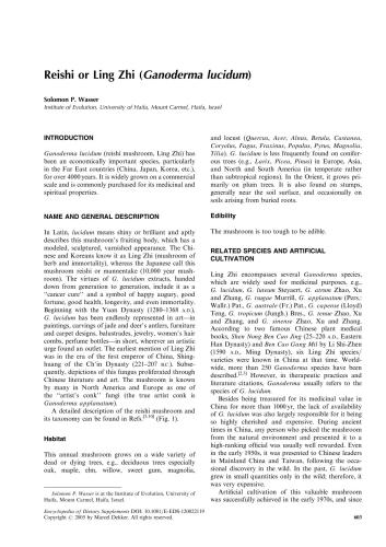 Wasser. Reishi or Ling Zhi (Ganoderma lucidum)