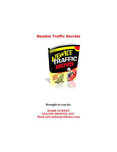 Newbie Traffic Secrets