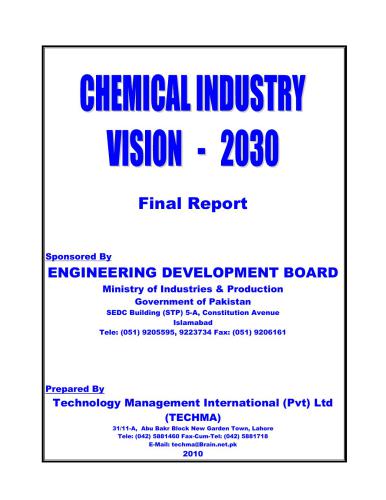 Chemical Industry Vision - 2030. Final Report