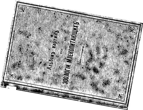 Альбомъ картинъ по зоологіи млекопитающихъ