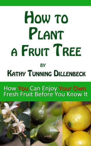 How to Plant a Fruit Tree: How You Can Enjoy Your Own Fresh Fruit Before You Know It