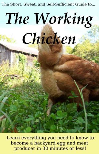 Working Chicken: Learn everything you need to know to become a backyard egg and meat producer in 30 Minutes or less!