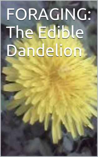 Foraging The Edible Dandelion