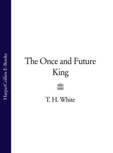 THE ONCE & FUTURE KING Five Volumes in One: The Sword in the Stone, The Queen of Air and Darkness, The Ill-Made Knight, and, The Candle in the Wind + The Book of Merlin