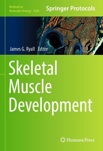 Skeletal muscle development