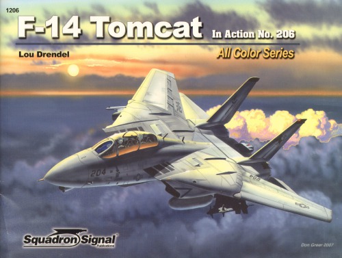 F-14 Tomcat in Action