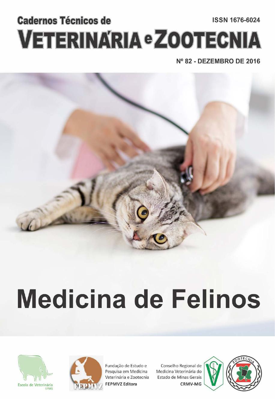 Medicina de Felinos
