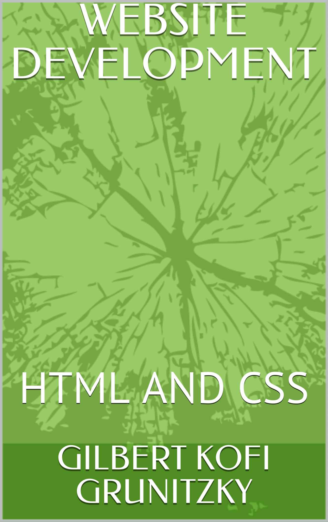 WEBSITE DEVELOPMENT: HTML AND CSS