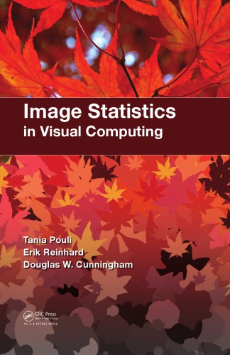 Image statistics in visual computing