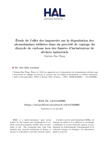 Étude de l’effet des impuretés sur la dégradation des alcanolamines utilisées dans un procédé de captage du dioxyde de carbone issu des fumées d’incinérateur de déchets industriels