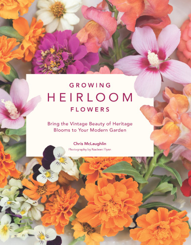 Growing Heirloom Flowers: Bring the Vintage Beauty of Heritage Blooms to Your Modern Garden