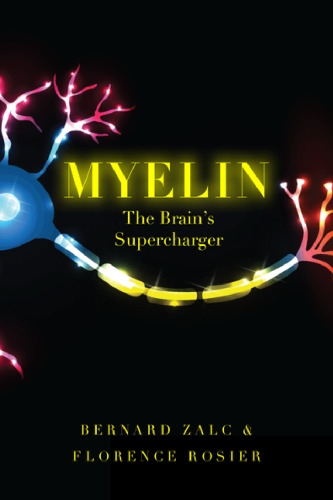 Myelin: The Brain’s Supercharger