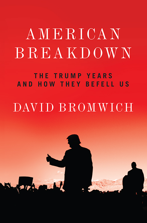 American Breakdown - The Trump Years and How They Befell Us