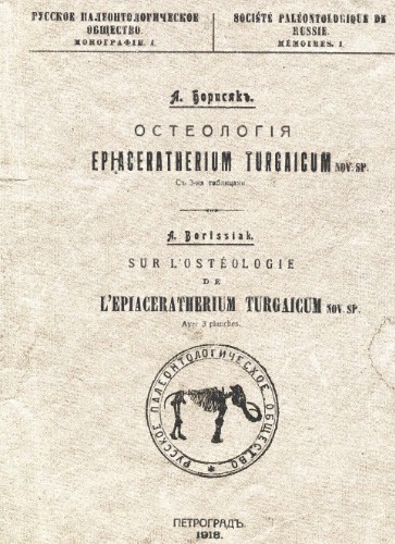 Остеология Epiaceratherium turgaicum nov. sp.