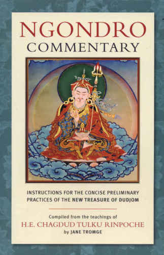 Ngondro Commentary: Instructions for the Concise Preliminary Practices of the New Treasure of Dudjom