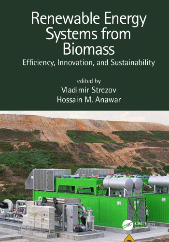 Renewable energy systems from biomass: efficiency, innovation and sustainability