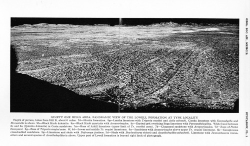 Lower Cretaceous stratigraphy in Southeastern Arizona