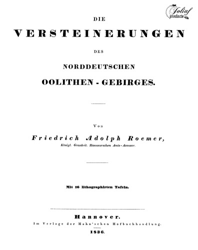 Die Versteinerungen des norddeutschen Oolithen-Gebirges