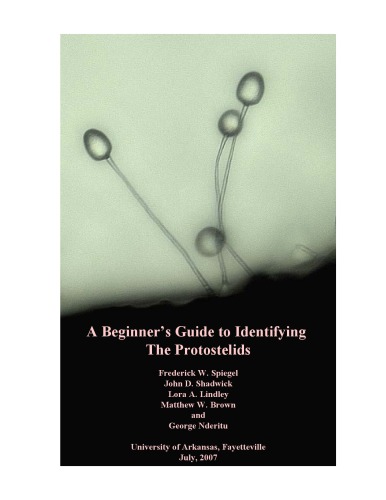 A Beginner’s Guide to Identifying The Protostelids