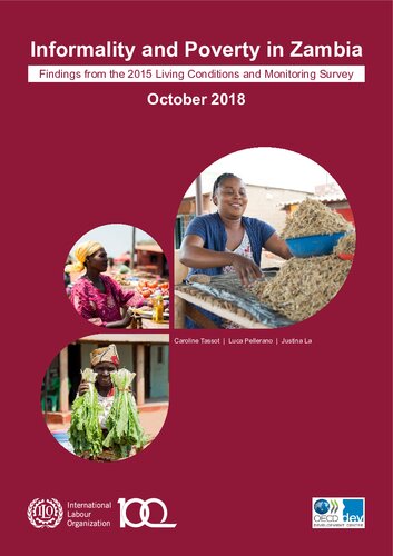 Informality and Poverty in Zambia Findings from the 2015 Living Standards and Monitoring Survey: Findings from the 2015 Living Standards and Monitoring Survey