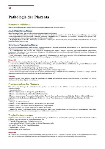 دانلود کتاب BASICS Gynäkologie und Geburtshilfe